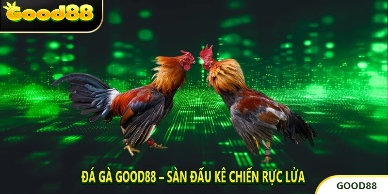 Đá Gà Good88 – Sàn Đấu Kê Chiến Rực Lửa